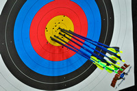 2013 State Archery
