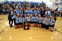 2014 Volleyball State Tournament